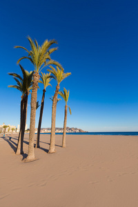 贝尼多姆在西班牙的阿利坎特普拉亚德阿尔海滩