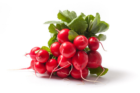 股票照片02wie04e rzodkiewki - pień新鲜萝卜-股票照片照片