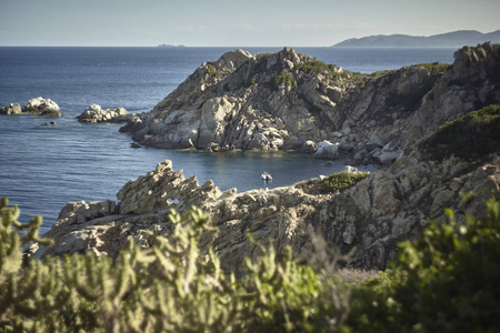 美丽的自然海湾在花岗岩山脉在卡波费拉托地区在撒丁岛南部的夏天被日落照亮