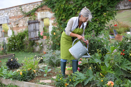 女高管浇灌菜园图片