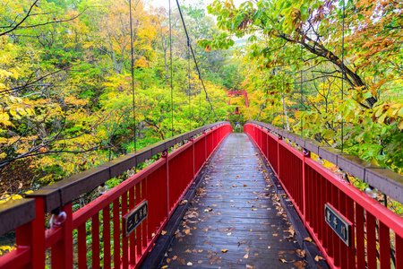 定山溪二见吊桥和秋枫林在定山溪温泉, 最受欢迎的旅游景点, 北海道。日本
