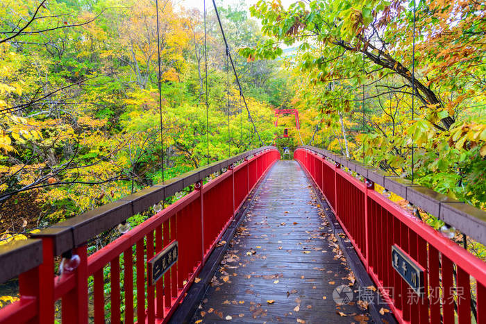 定山溪二见吊桥和秋枫林在定山溪温泉 最受欢迎的旅游景点 北海道 日本照片 正版商用图片0a4mm3 摄图新视界