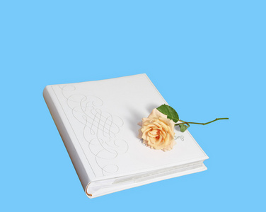 照片专辑和一个蓝色的背景上的桃玫瑰