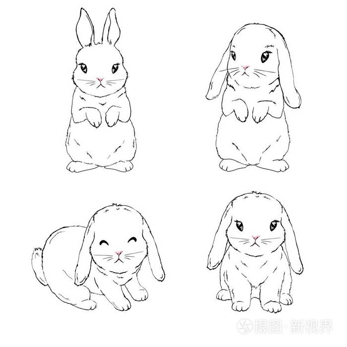 用于邀请或包装的通用模板.雕刻插画-正版商用图片0a4qql-摄图新视界