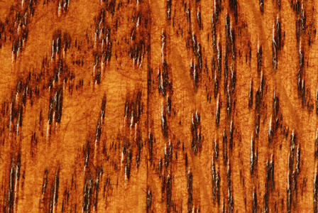 橡木木纹的宏图片