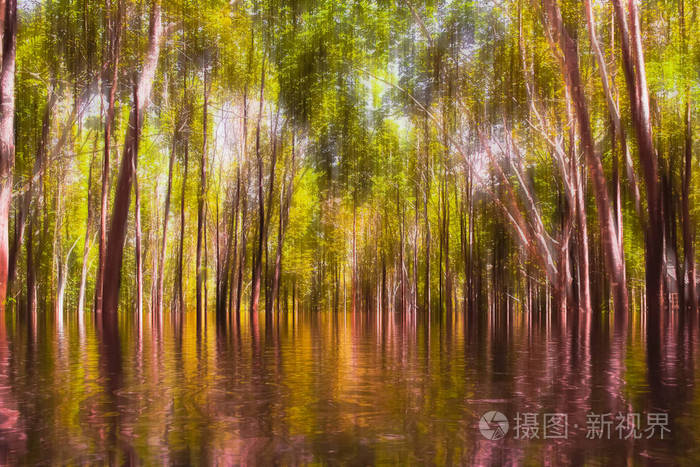 模糊的森林抽象景观在森林中