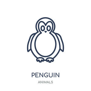 企鹅图标。企鹅线性符号设计从动物收藏。简单的大纲元素向量例证在白色背景