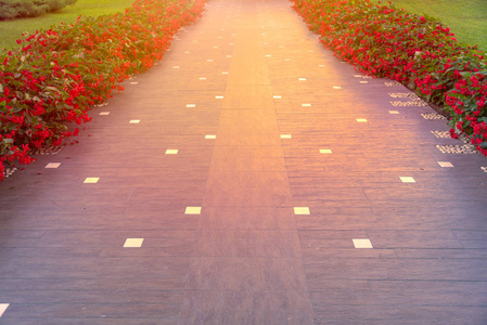 道路两侧红色花朵的路径