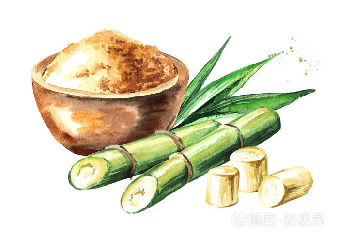 含红糖成分的甘蔗.水彩手绘的例证, 查出在白色背景
