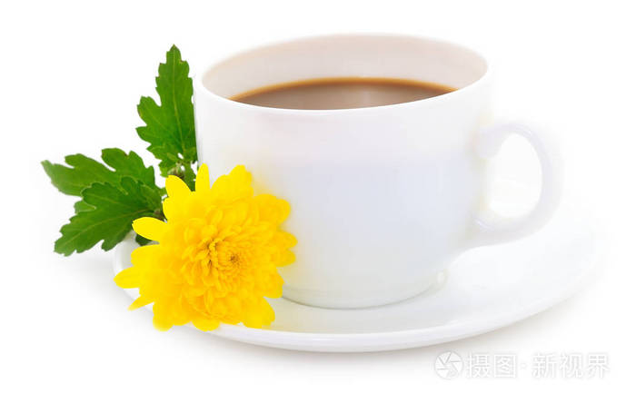 白杯咖啡与美丽的菊花花在一个光的背景