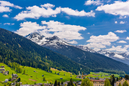 阿尔卑斯山覆盖着松树林, 达沃斯, 格劳布登, 瑞士