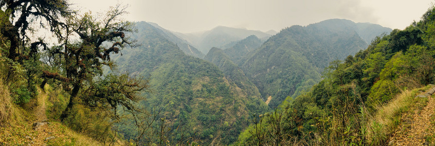 干城章嘉