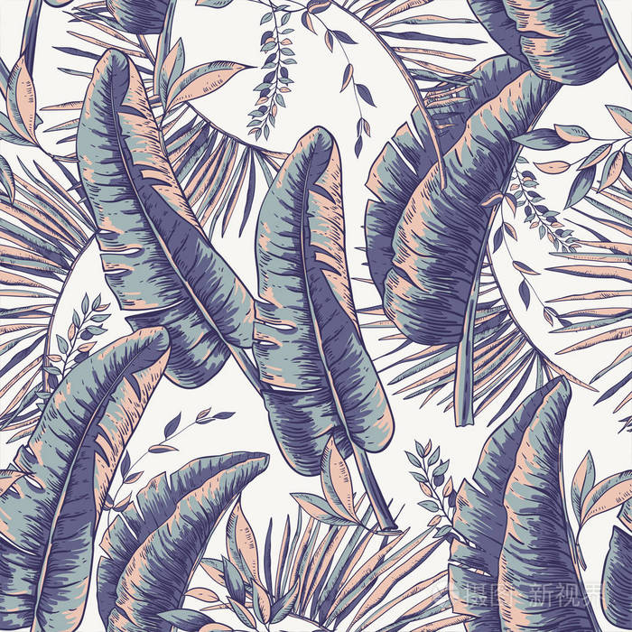 热带叶的载体无缝模式, 异国情调的天然背板插画-正版商用图片0a5hrz