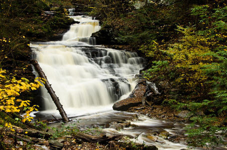 cascade dans la fort en automne