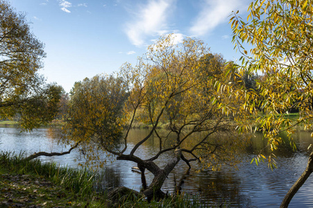秋天在河上倒下的树上, 周围树木的倒影五颜六色的叶子。改变季节概念