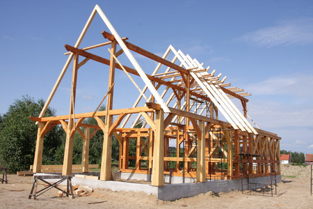 骨架的房子图片