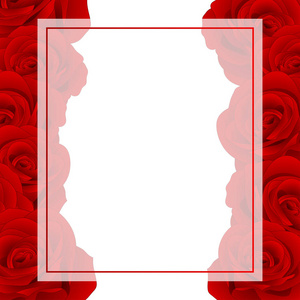 美丽的红玫瑰罗莎横幅卡. 情人节。矢量插图