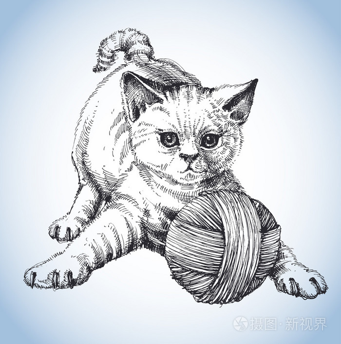 可爱的猫咪玩毛线球