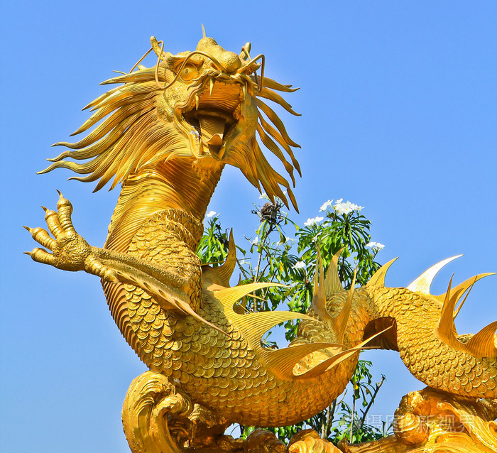 金龙照片-正版商用图片0a5ryq-摄图新视界