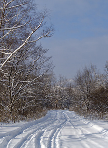 雪后的早晨