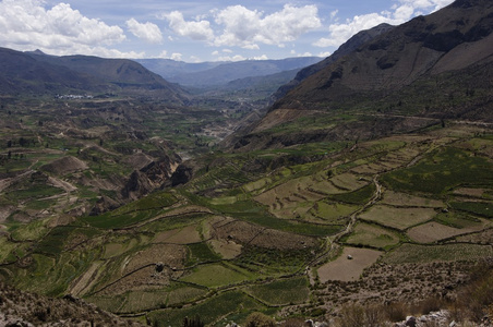 在秘鲁的 colca 谷农业梯田