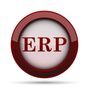 Erp 图标。白色背景上的互联网按钮