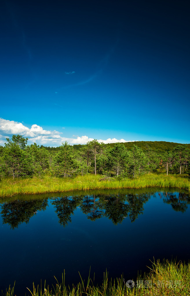 夏日风景的美丽的湖