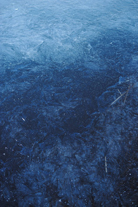 水库表面的薄薄的透明冰, 下面有干草和气泡