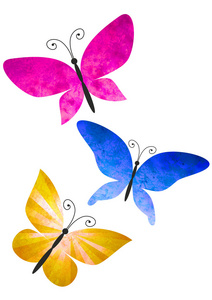 色彩艳丽的蝴蝶白色水彩插图上孤立