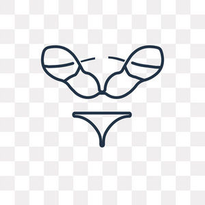 lingerine set 矢量轮廓图标隔离在透明背景上, 高质量线性 lingerine 集透明度概念可以使用网络和移动