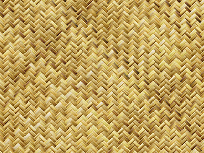 活动垫行芦苇纹理照片