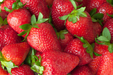 红色水果背景。新鲜成熟的红色草莓与绿叶, 特写, 全帧, 宏