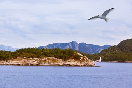 峡湾 lysefjord挪威