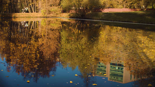 秋天的风景, 湖在公园里。秋季季节