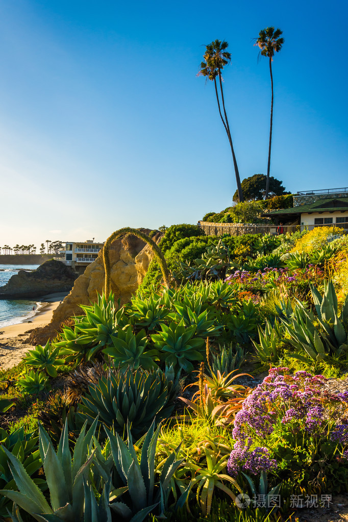 在海斯勒公园在拉古纳海滩加州花园