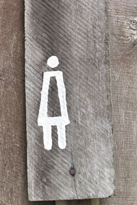 标志象征的女洗手间