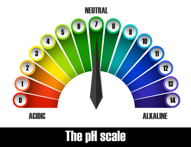 ph 比例图插图