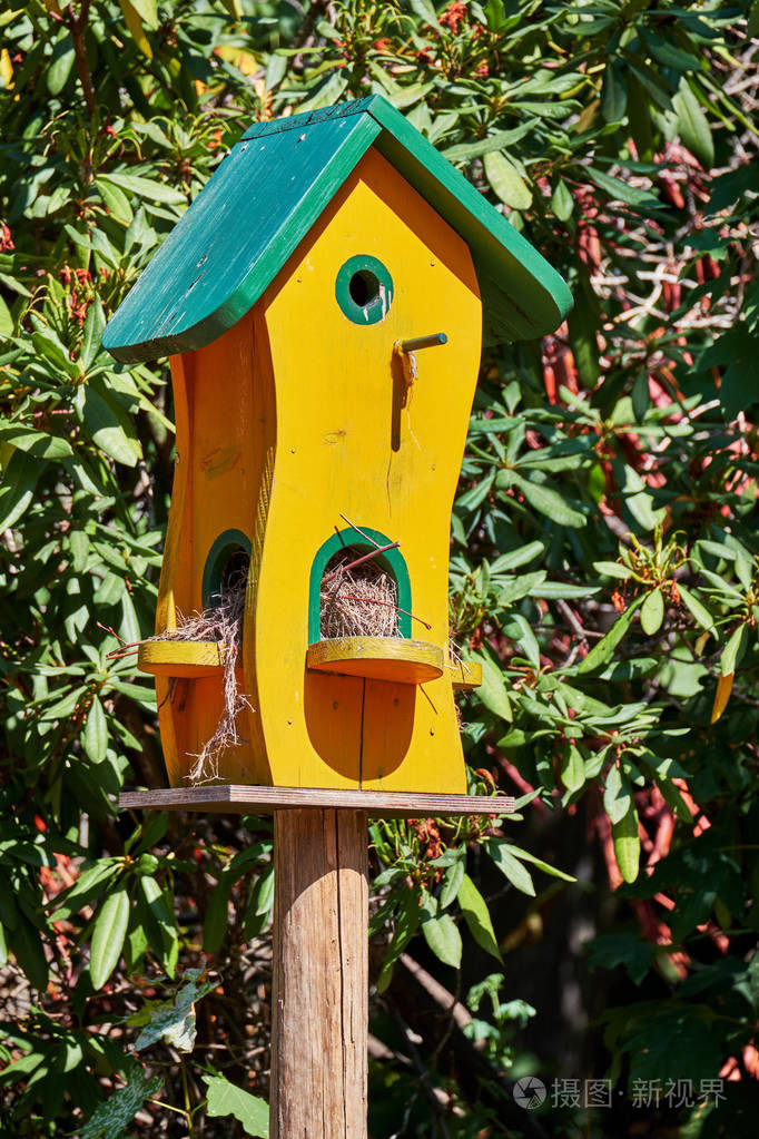 定制的可爱的鸟房子画在黄色和绿色的一个支柱前面的木材与多个入口