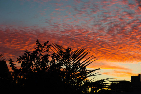 西卢埃特城市景观在日落时间与橙色的天空颜色