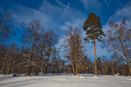 白雪皑皑的冬季风景