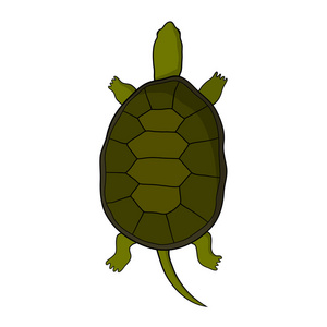 手绘乌龟手绘的卡通风格的乌龟图照片