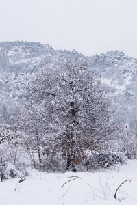 冬天下雪的山峰全景