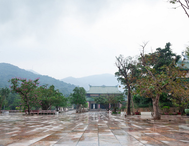 寺灵 Ung 宝塔越南岘港