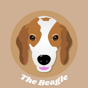 比格尔小狗的肖像可爱, 矢量插图