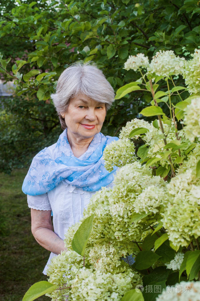 花园绣球丛中的漂亮老太太画像照片-正版商用图片0a8413-摄图新视界