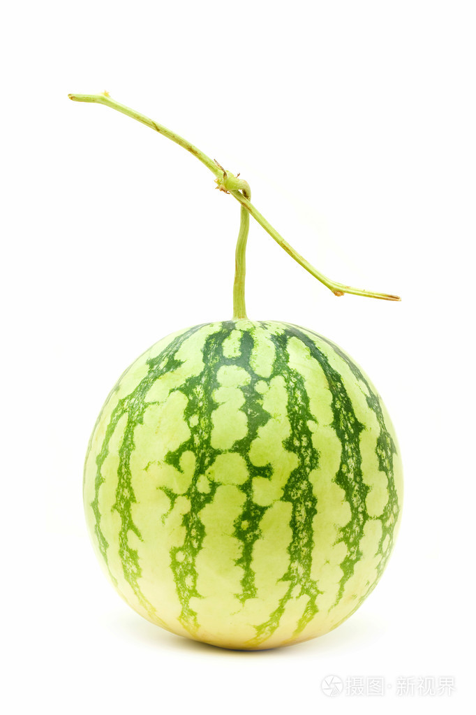 孤立的白色背景上的整个西瓜