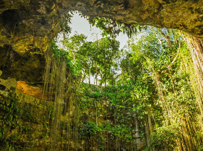 如诗如画的藤本植物，墨西哥的天然洞穴