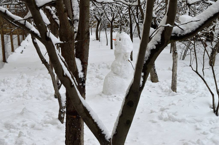 寂寞雪人在城市花园图片