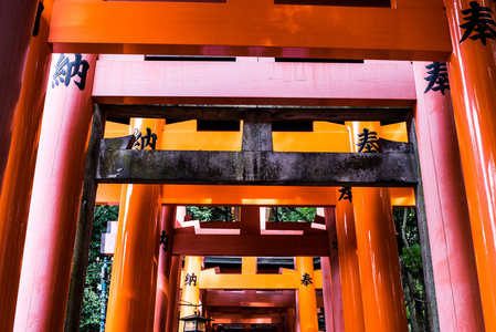 鸟居是日本神的寺庙之路