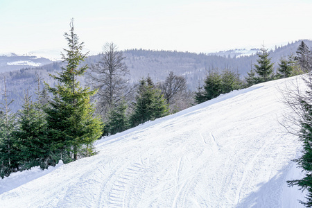 冬季景观的法国孚日山滑雪场图片